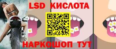 СК Будённовск