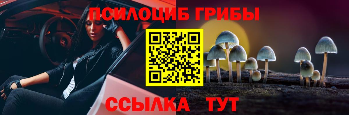 купить  сайты  Вход с VPN  Галлюциногенные грибы мухоморы  Нефтекамск  Псилоцибиновые грибы мухоморы 